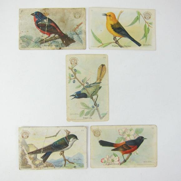 Lot 5 Victorian Trade Cards Arm & Hammer Useful Birds Bunting Warbler Green Jay - Picture 1 of 16